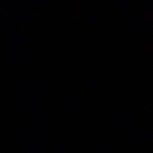 Meet your Posher, Angelika